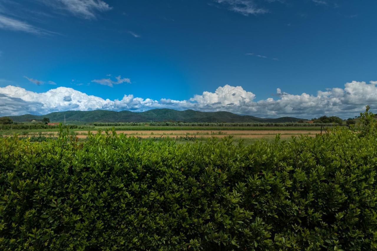 Agriturismo Lucerna Del Lago Prile カスティリオーネ・デッラ・ペスカーイア エクステリア 写真
